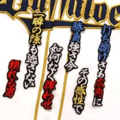 山中 応援歌 白赤青/黒 刺繍 ワッペン オリックス バファローズ 山中稜真のサムネイル