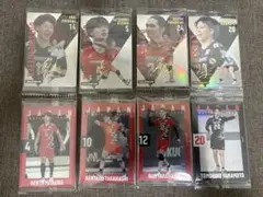 日本代表バレーボール男子ウエハースカード