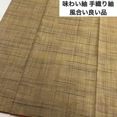 味わい紬 手織り紬 風合い良い品 正絹 AK-7019m