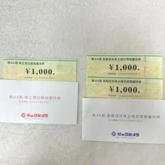 ビックカメラ 株主優待 3000円分