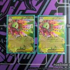 メガメガニウム ex バラ売り可