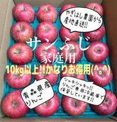 青森県産サンふじ家庭用。減農薬。終盤だからこそ傷無しも入ってます！