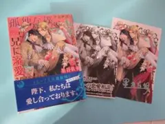 未読新品「孤独な僕が異世界に転生したら兄に溺愛されまくっていて」非売品SP/PC