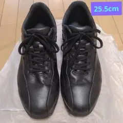 ミズノ　ウォーキングシューズ　防水　GORE-TEX 　25.5cm
