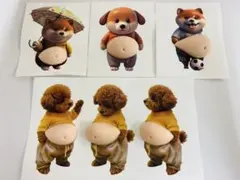 超可愛い 3D立体柴犬お腹ぷにぷにシール6匹セット スクイーズ もっちり 肉球