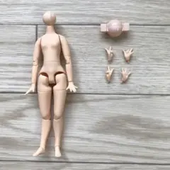 ミディブライス　関節ボディのサムネイル