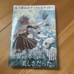 魔力枯れのダークエルフ 丸善 ジュンク堂 特典付き 1巻初版本 第一巻