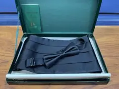 Item thumbnail for item 2813c7da-4111-4a1c-82ff-a3f47b24b9ac