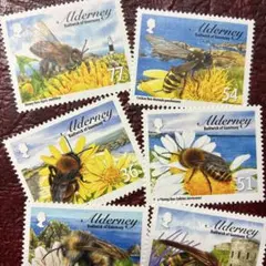 リップル様 リクエスト 5点 まとめ商品追加分