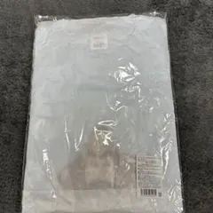 安室奈美恵　エミーナ　Tシャツ　Lサイズ　ライトブルー