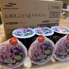 マルハニチロ　大満足ぶどう&ナタデココ 285g✖️12個のサムネイル