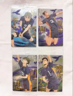 劇場版ハイキュー！！ゴミ捨て場の決戦 ウエハース 烏野高校