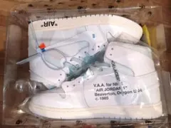 Nike Air Jordan 1 Retro High OG "Alaska"