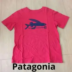 Patagonia パタゴニア 半袖Tシャツ S7-8 130cm 男の子