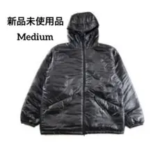 Item thumbnail for item 36962065-c49d-41a6-84b9-42fea5d6daf4