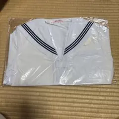 Item thumbnail for item 7261985b-3380-41e6-ba3f-365a30544f3c