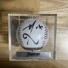 2026年最新】日本ハムファイターズ サインボールの人気アイテム - メルカリ