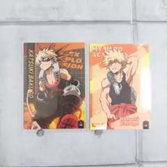 僕のヒーローアカデミア Pictas ヒロアカ ピクタス 爆豪勝己