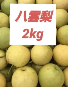 0302❄️東北発送クール便「冷凍南高梅」2L5kg 梅酒 シロップ(梅干しOK