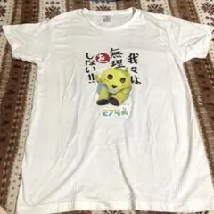 247ch Tシャツ
