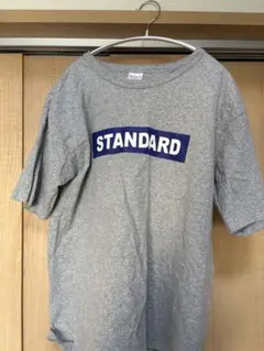 美品‼︎ USA製 Champion T1011 4段染込みプリントT グレー M - メルカリ