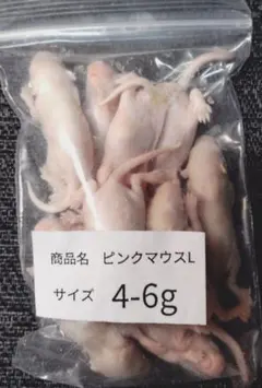 送料無料 冷凍ピンクマウスS30匹 - メルカリ