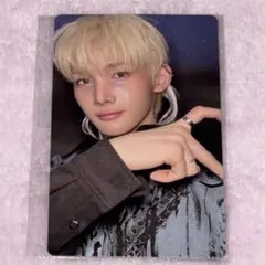 Backtolife　&TEAM　トレカ　グローバル　global