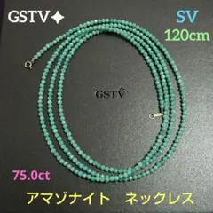 2026年最新】 gstvの人気アイテム - メルカリ