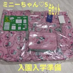 通園通学　レッスンバッグ　女の子　ディズニー　ミニーちゃん 入園入学準備　新学期