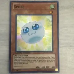 遊戯王　英語版　スポーア　スーパーレア