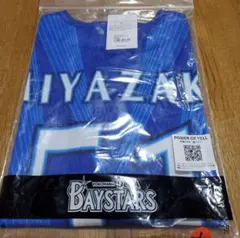 横浜DeNAベイスターズ ファンフェス 特大カプセルトイ 総柄tシャツ 度
