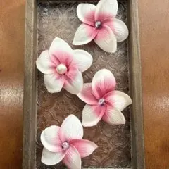 つつじ ツツジ 挿し穂 4本 ゆうパケットポストmini発送 - メルカリ