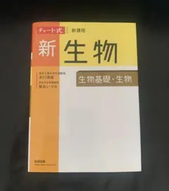 Item thumbnail for item 4b3fe249-f67a-4bf5-adcc-e3ef48db03b7