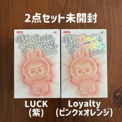 【発送1／3】【未開封2点セット】エナジーBig into Energy