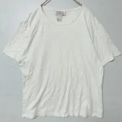 ケンブリッジドライグッズ Tシャツ 無地 白 L 日常のサムネイル