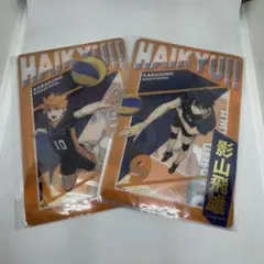 ハイキュー！！ ゴミ捨て場の決戦 ムビチケ 特典 日向 影山