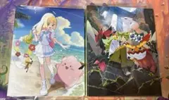 コレクションファイル　リーリエ　N 2個セット