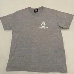 リバーサル　reversal rvddw Tシャツ M サイズ　グレー　綿のサムネイル