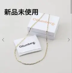 Otiumberg 2チェーン ペーパークリップ ネックレス 925 中古 Otiumberg 2チェーン ペーパークリップ ネックレス 925 中古 - メルカリ