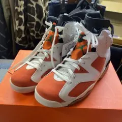 【新品】NIKE AIR JORDAN 6 ゲータレード
