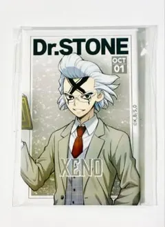 ゼノ Dr.STONE くじ引き堂 読書の秋 缶バッジ