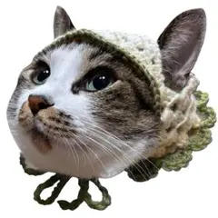 バブーシュカ 犬猫用 緑色