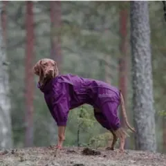 2026年最新】ルッカ 犬の人気アイテム - メルカリ