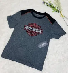 【新品・タグ付き】ハーレーダビッドソン Tシャツ グレー メンズL