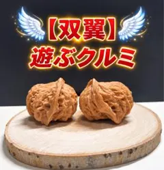 遊び胡桃 希少品種 ミニ「満天星」 M0007 コレクション 文玩 - メルカリ