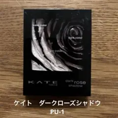 ケイト　ダークローズシャドウ PU-1　妖艶なモーブパープル