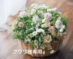 フワリ様専用オーダーページ