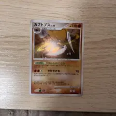 カブトプスのサムネイル