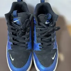 NIKE SB AIR FORCE 2 LOW FOAMPOSITE 26センチ