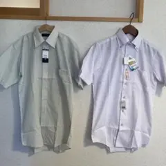 Item thumbnail for item 78438315-82c7-4324-87c4-a6a6e0fbc086